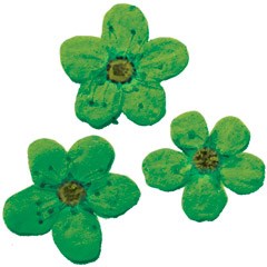 сухоцветы F-3 95651