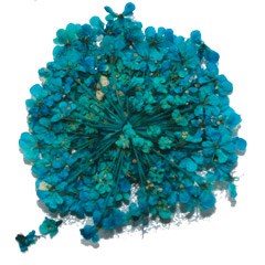 сухоцветы Fm-28 95663