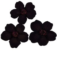 сухоцветы F-9 66933