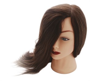 Голова учебная DEWAL